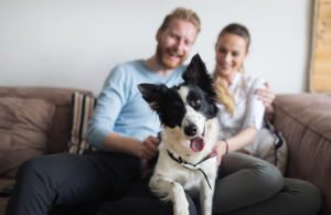 apartment family with happy dog