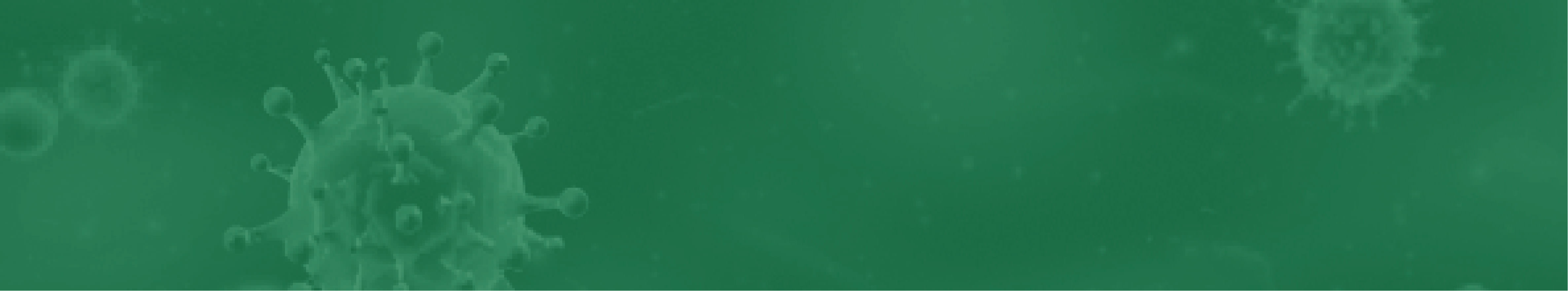 Header-static-cropped