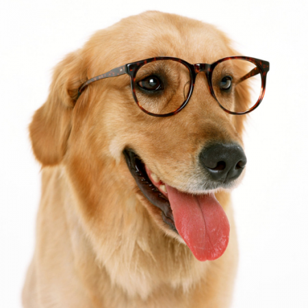 laboratory scientist dog pooprints